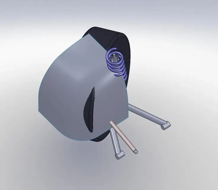 passaruota3.webp