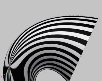 zebra esterna.webp