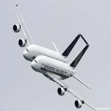 planes038png.webp planes038png.webp