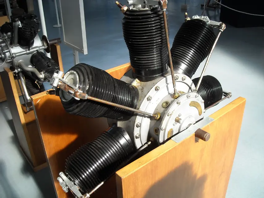 vigna_di_valle_2010 171.webp