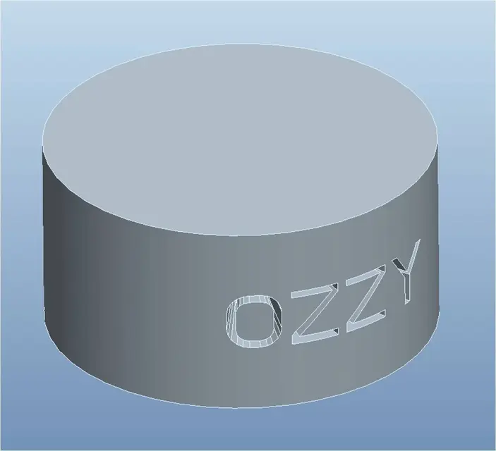 ozzy_rimozione.webp