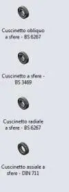 Cattura.webp