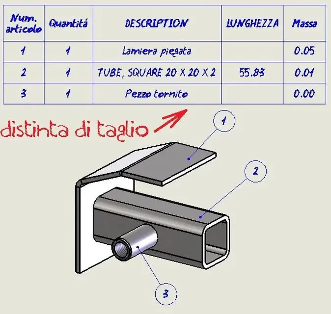 modello 2d.webp