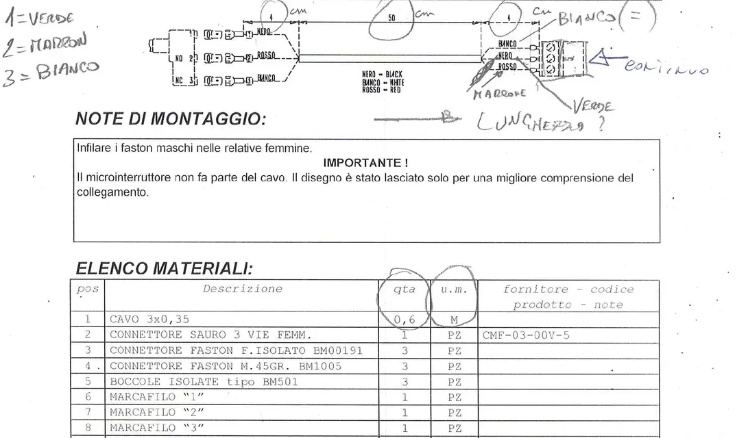 Immagine.webp