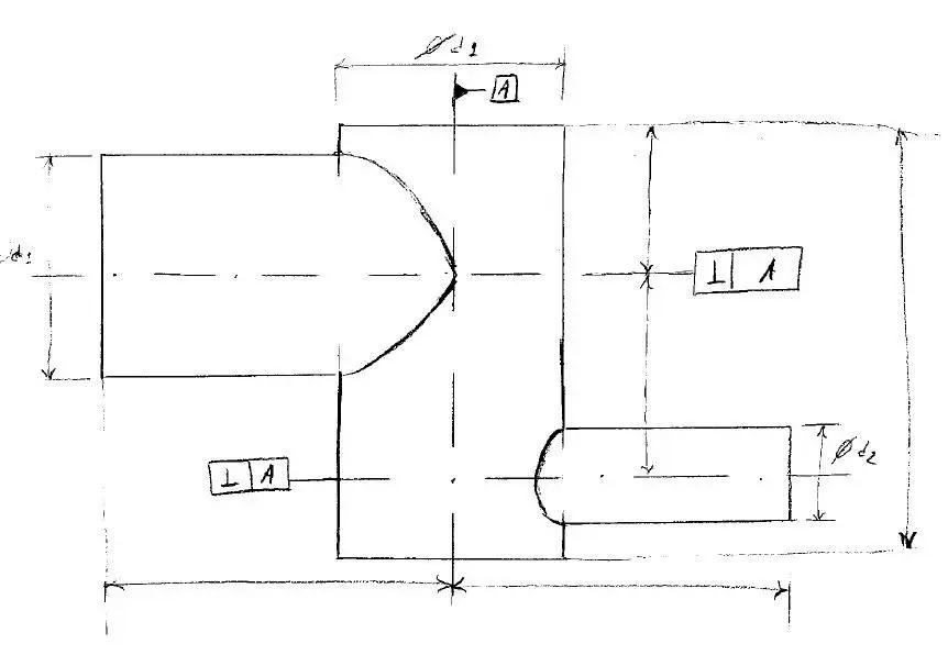 disegno.webp