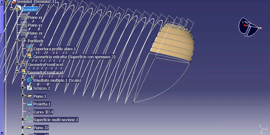 estremita alare5.webp