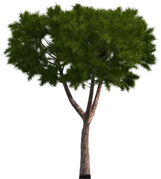 118c.webp