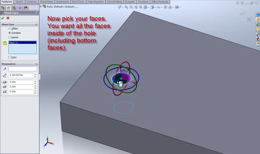 5.webp