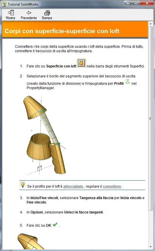 Cattura2.webp