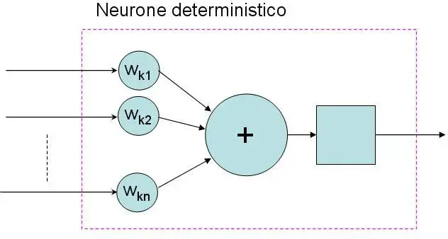 Neurone.webp