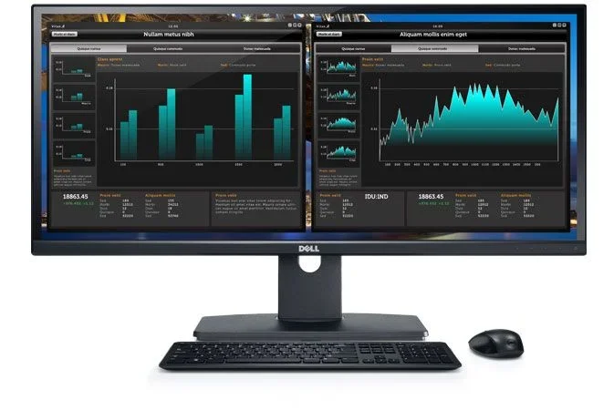 dell-u2913wm-overview1.webp dell-u2913wm-overview1.webp