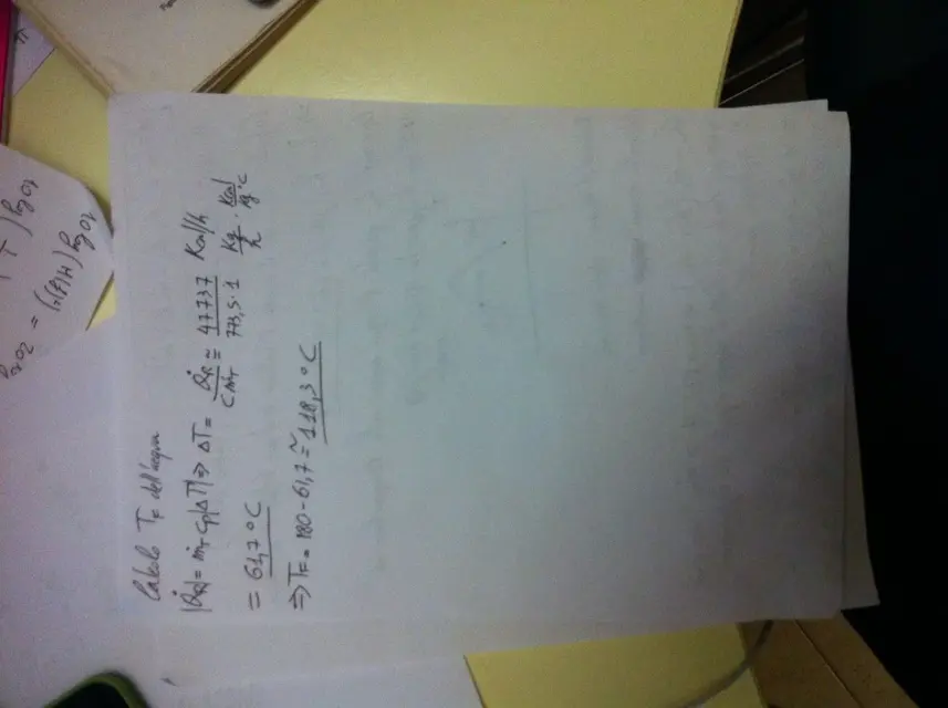 foto 2.webp