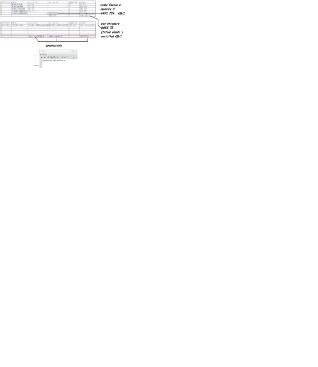 relazione2.webp