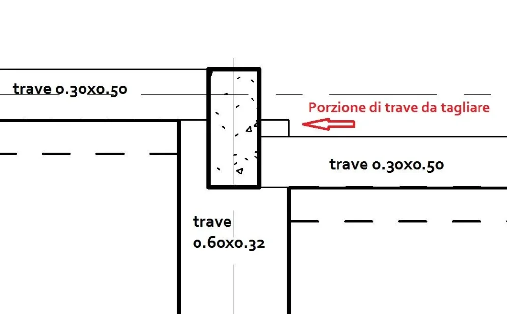 Travi.webp