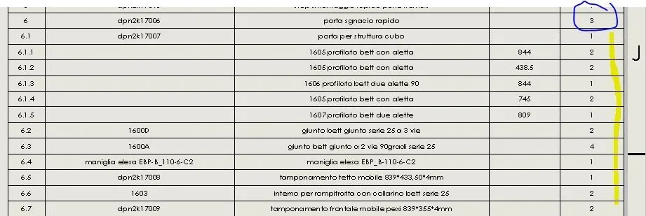 Cattura.webp