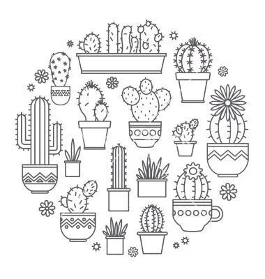 601dc7bfa64ca471dbd1925e2f6a1511--cactus-drawing-draw-cactus.webp