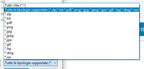 Immagine.webp