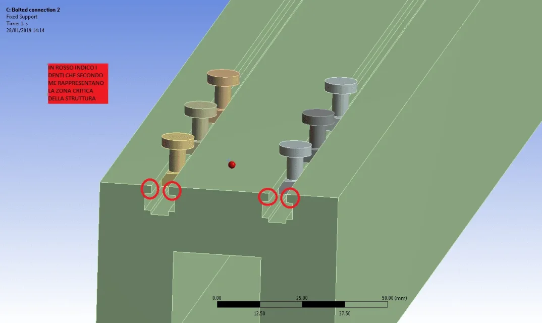 PIC3.webp