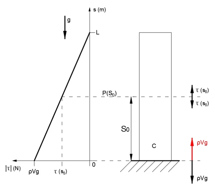 C2.webp