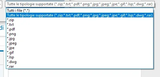 Immagine.webp