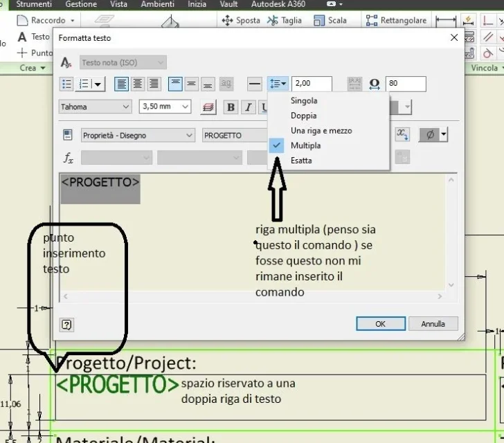immagine.webp