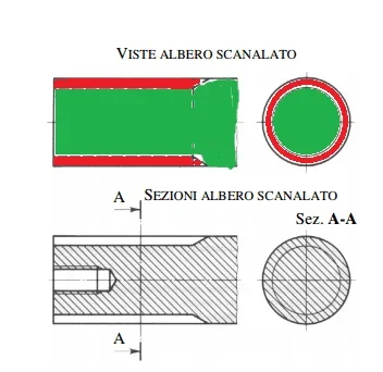 scanala.webp