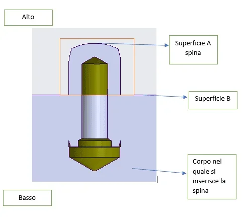 Spina1.webp