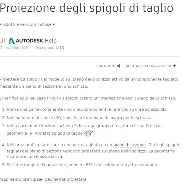 immagine.webp