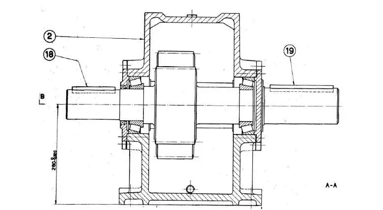 Immagine 2021-06-22 161112.webp