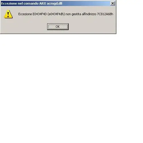 Immagine.webp