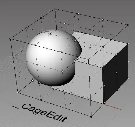 cage.webp
