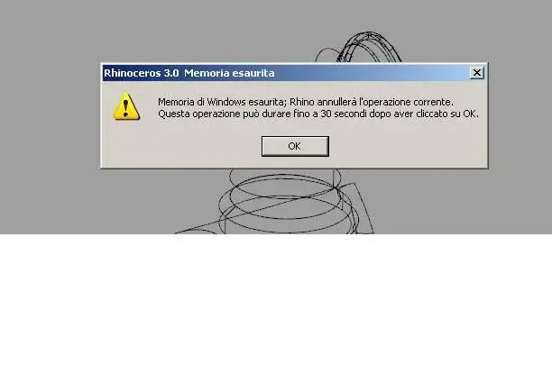 errore rhino.webp