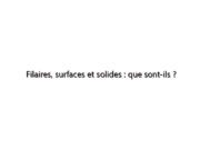 Filaires, surfaces et solides : que sont-ils ?